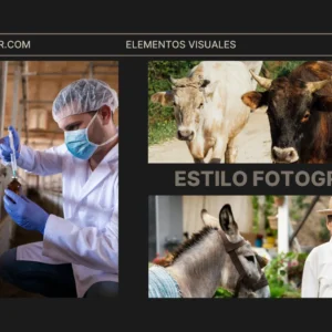 branding biokenko 6 biokenko