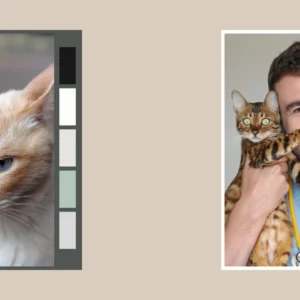 branding kenkopet 3 kenkopet