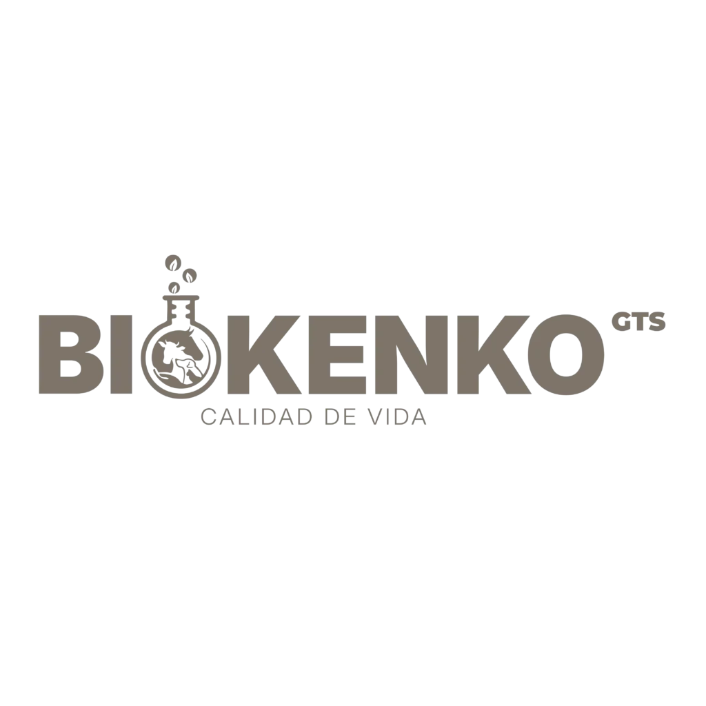 svg%3e mesaux | inicio